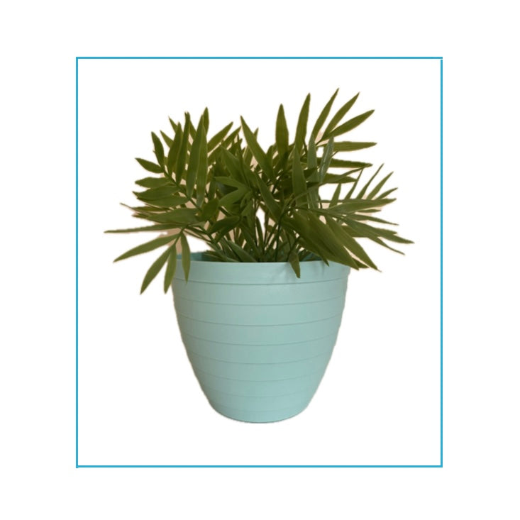 Plastic Plant Pot