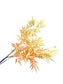 Faux Golden Eucalyptus