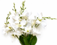 White Magnolia Spray