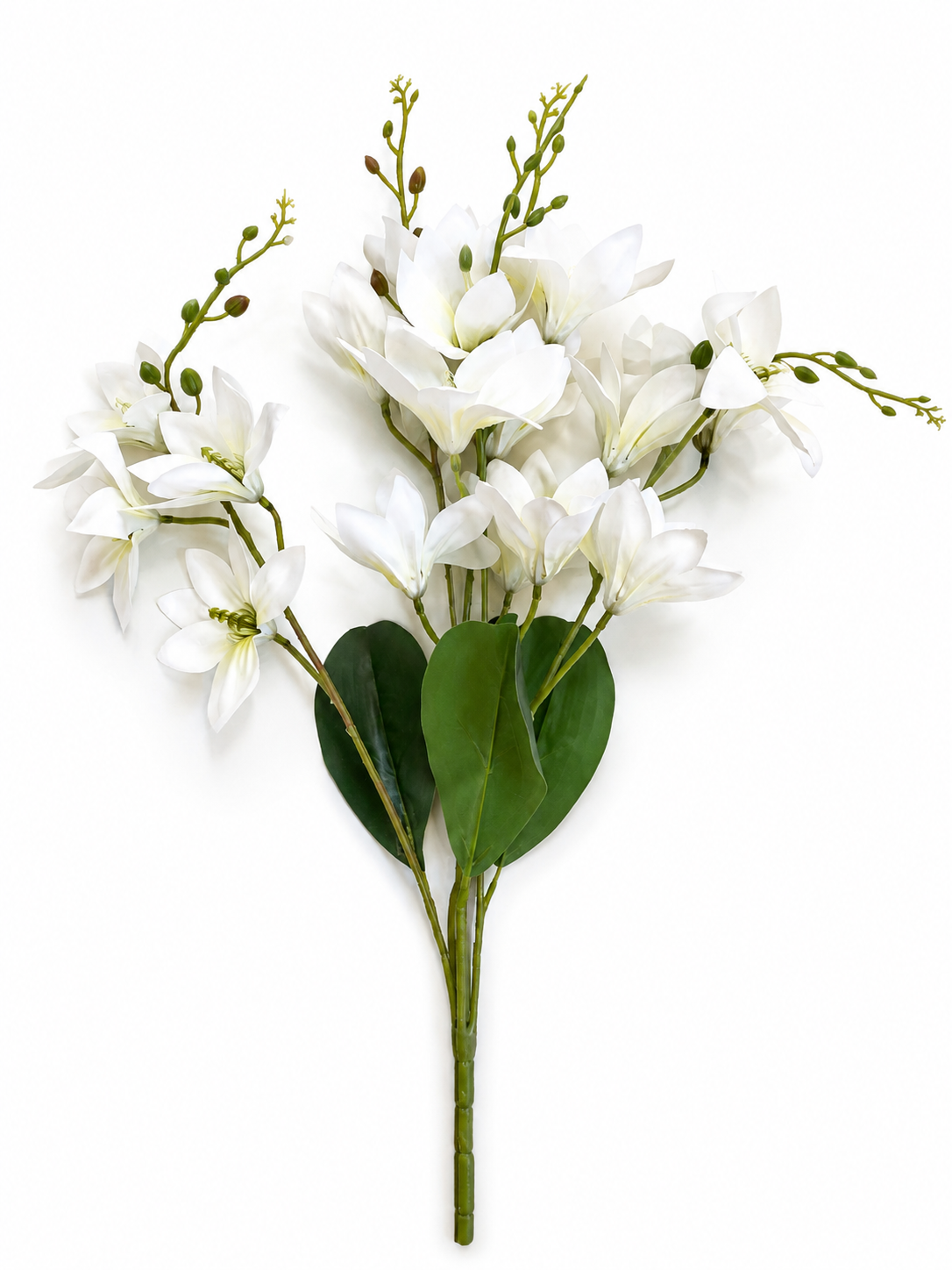 White Magnolia Spray
