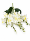 White Orchid Spray