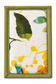 Botanical Kitchen Set