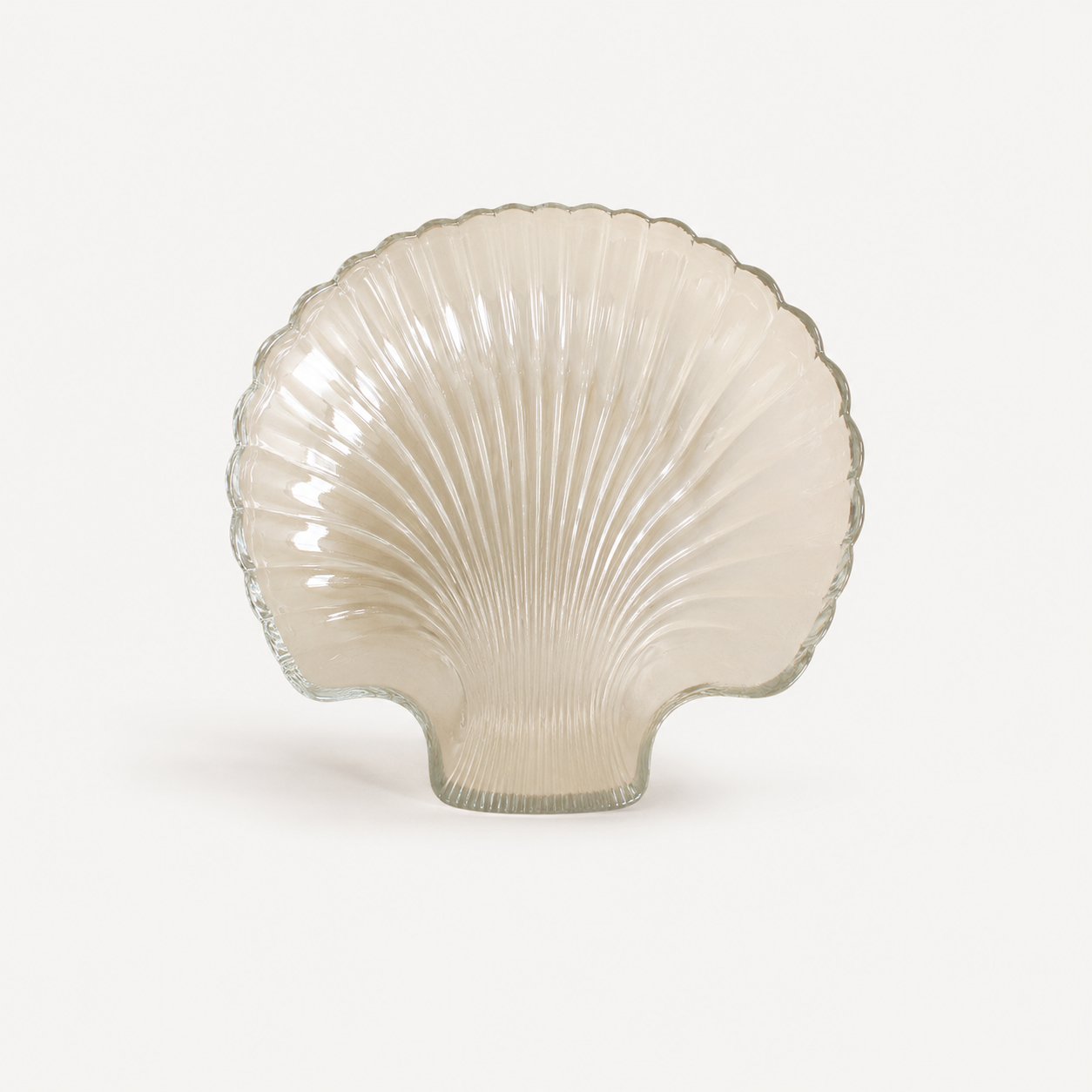 Glass plates-set of 6