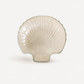 Glass plates-set of 6
