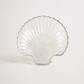 Glass plates-set of 6