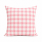 Pink Cushions-22